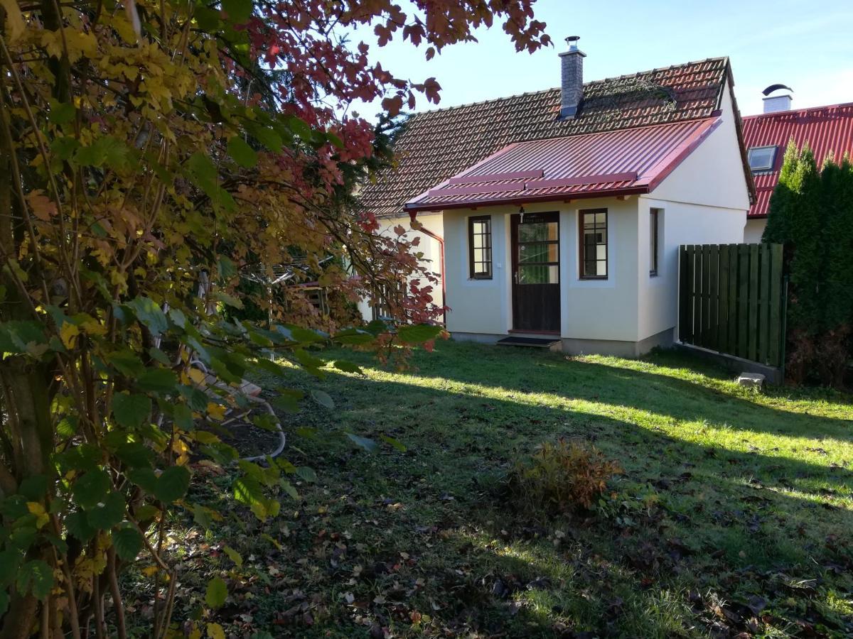 Chaloupka Nad Zelivkou Villa Hnevkovice Luaran gambar